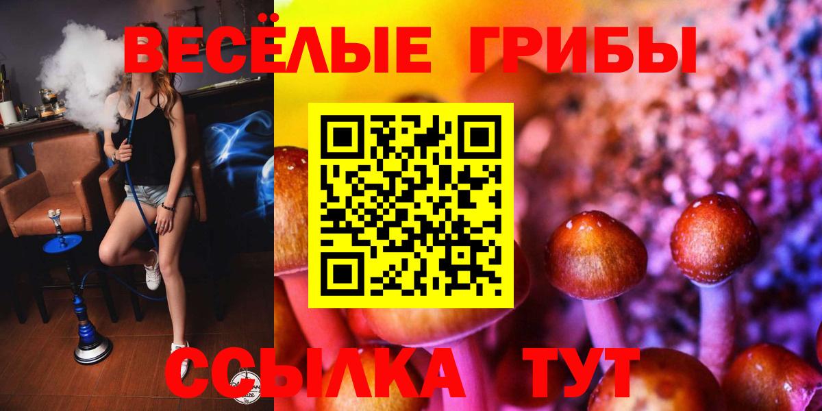 Похвистнево  Галлюциногенные грибы Magic Shrooms  Вход с VPN 